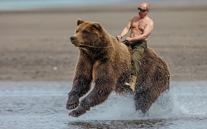 Vladimir_Putin_Men_Brown_Bears_Run_533027_1280x800