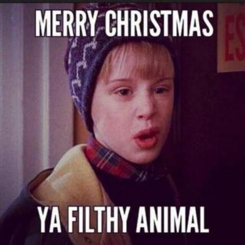 Merry-Christmas-Ya-Filthy-Animal-Memes