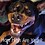 acousticcowboy33