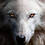 Darklord73_1803