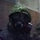 Sonny_DP